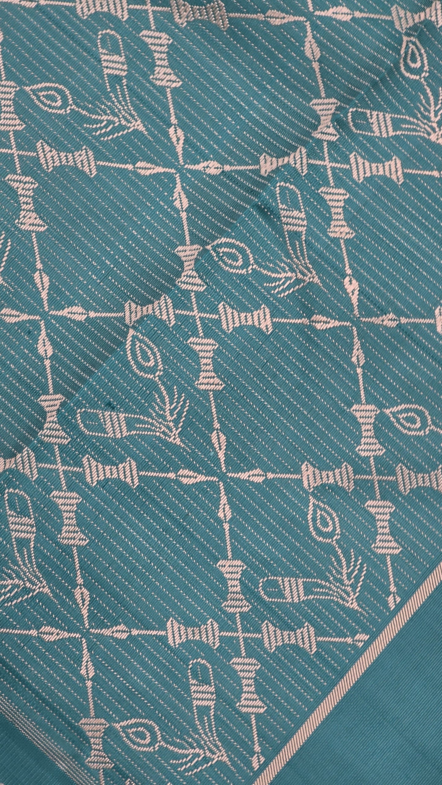 Julie 2 - The last living bird of Nagaland {Hornbill}