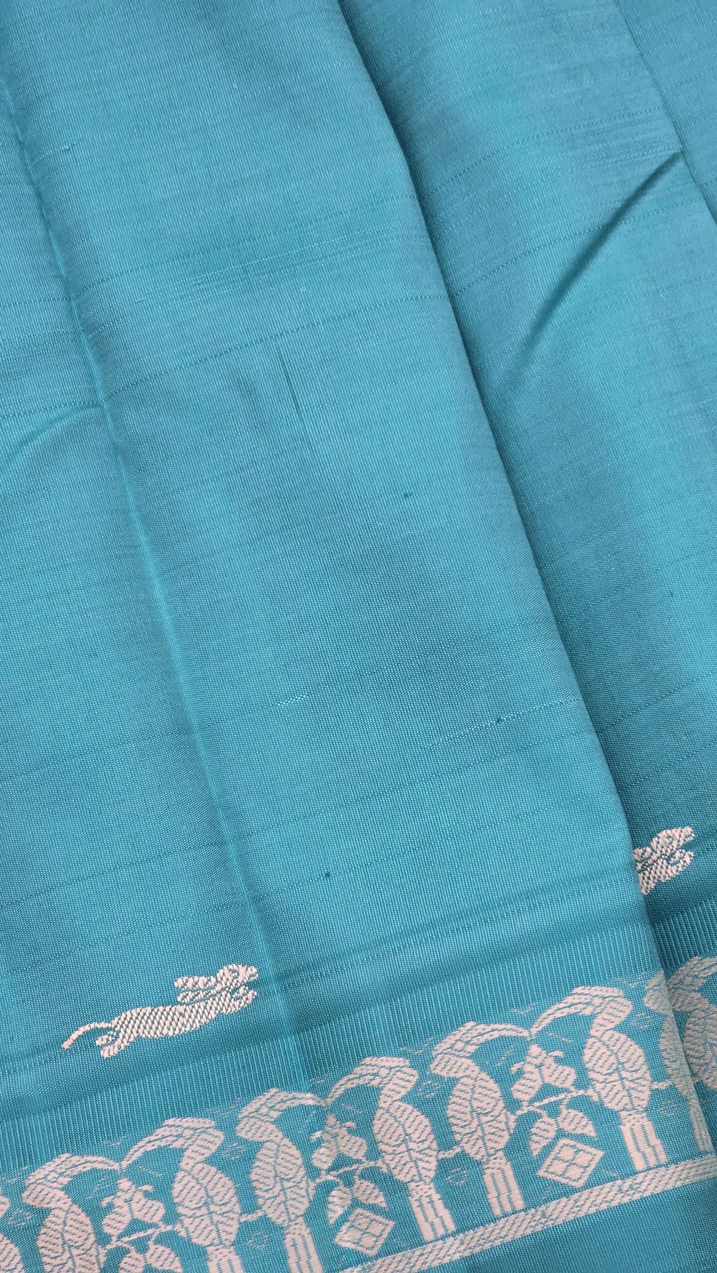 Julie 2 - The last living bird of Nagaland {Hornbill}