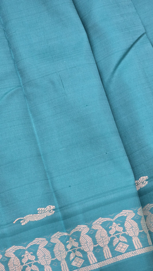 Julie 2 - The last living bird of Nagaland {Hornbill}